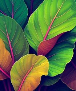 Taro Leaves Paint Numbers