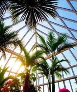 Glass Ceiling Paint Numbers