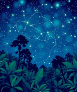 Rainforest Stars Paint Numbers