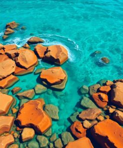 Tide Pools Paint Numbers