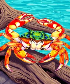 Island Crab Paint Numbers