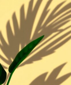 Plant Shadow Paint Numbers