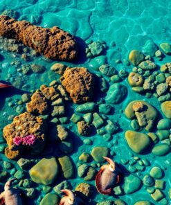 Reef Pool Paint Numbers