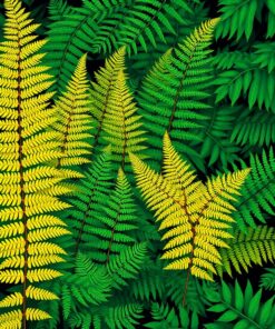 Gold Ferns Paint Numbers