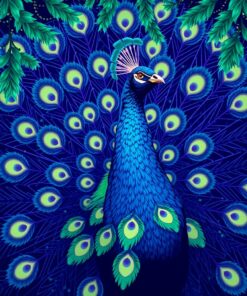 Peacock Display Paint Numbers