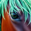 Horse Eye Paint Numbers