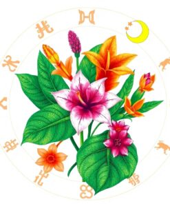 Zodiac Flora Paint Numbers