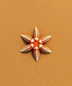 Coastal Sands Paint Numbers