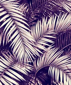 Faded Sunbaked Palm Leaves Paint By Numbers