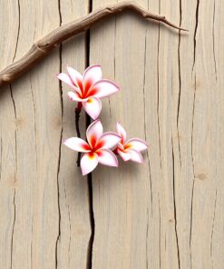 Pink Frangipani Paint Numbers