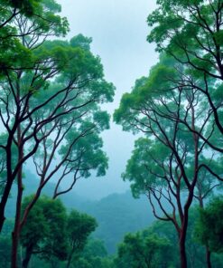 Treetop Horizon Paint Numbers