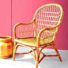 Faded Vintage Rattan Chair Paint By Numbers