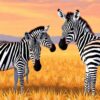 Zebra Plains Paint Numbers