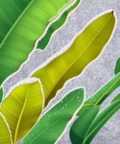 Banana Leaves Paint Numbers