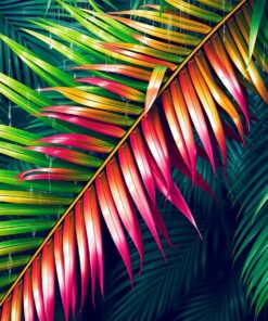 Palm Fronds Paint Numbers