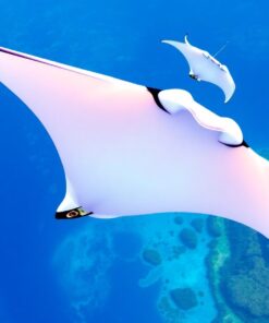 Ocean Mantas Paint Numbers