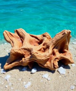 Baked Wood Paint Numbers