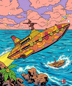 Hawaiian Spaceship Paint Numbers