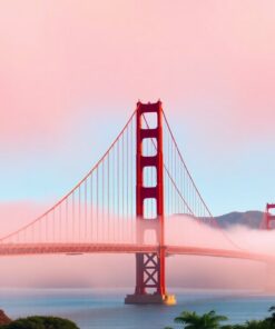 Tropical Haze Paint Numbers