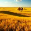 Golden Grasslands Striped Shadows Paint By Numbers