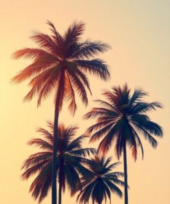 Tropic Palms Paint Numbers