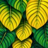 Monstera Leaves Paint Numbers