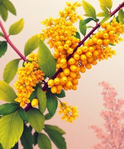 Harvest Branch Paint Numbers