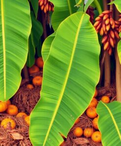 Banana Leaves Paint Numbers