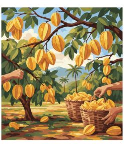 Harvesting Golden Carambolas Paint By Numbers