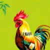 Havana Morning Rooster Sketch Paint By Numbers