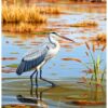 Realistic Wetlands Paint Numbers