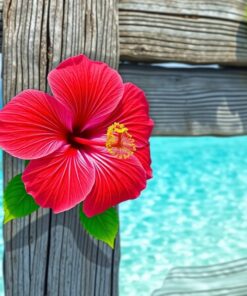 Weathered Timber Paint Numbers