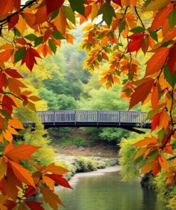Through Leaves Paint Numbers