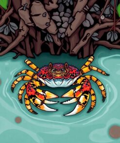 Hidden Mangrove Mud Crabs Paint By Numbers