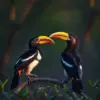 Hornbills In Evening Light paint by numbers