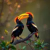 Hornbills In Evening Light paint by numbers