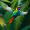 Hovering Tropical Jewel Bird Paint By Numbers