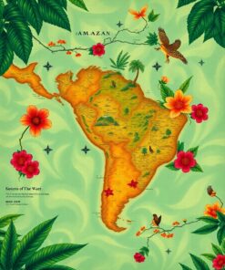 Amazon Map Paint Numbers