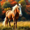 Island Pasture Horse paint by numbers