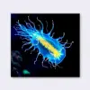 Luminous Ocean Ctenophore paint by numbers