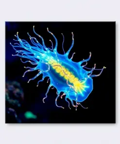 Luminous Ocean Ctenophore paint by numbers