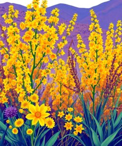 Desert Flora Paint Numbers