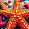 Macro Realistic Starfish Detail Paint By Numbers