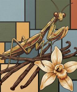 Mantis Upon Dried Vanilla Paint By Numbers