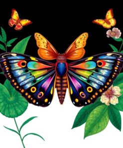 Moth Collection Paint Numbers