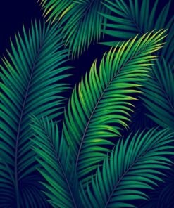 Palm Feathers Paint Numbers