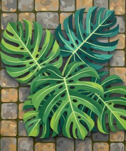 Monstera On Ancient Paving Paint By Numbers