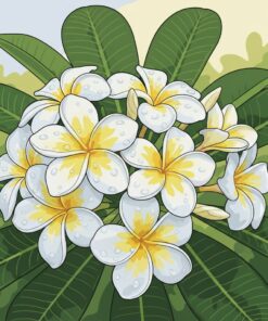 Morning Dew Plumeria Paint By Numbers