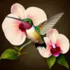 Orchid And Antique Hummingbird Paint By Numbers