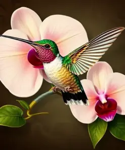 Orchid And Antique Hummingbird Paint By Numbers